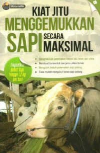 Kiat jitu menggemukkan sapi secara maksimal