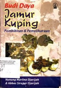 Budi daya jamur kuping pembibitan dan pemeliharaan