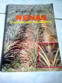 Nenas budidaya dan pascapanen