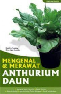 Mengenal dan merawat anthurium daun