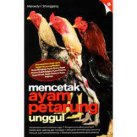 Mencetak ayam petarung unggul