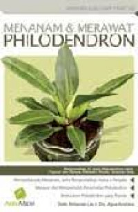 Menanam dan merawat philodendron