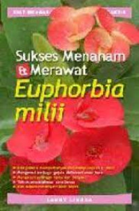 Sukses menanam dan merawat euphorbia mili