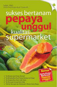 Sukses bertanam pepaya unggul kualitas supermarket