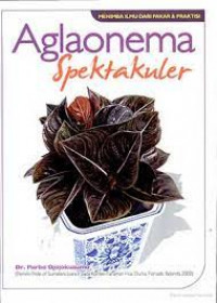 Aglonema spektakuler