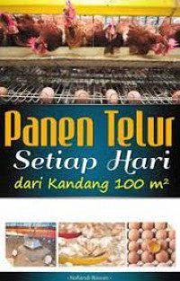 Panen telur setiap hari dari kandang 100 m