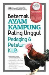 Bertenak ayam kampung paling unggul pedaging dan petelur KUB