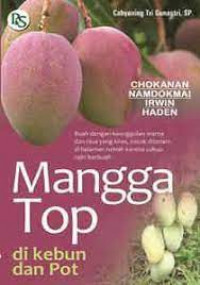 Mangga top di kebun dan pot