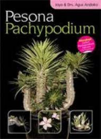 Pesona pachypodium