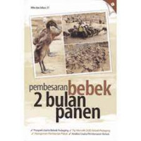 Pembesaran bebek 2 bulan panen