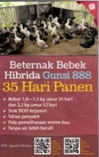 Bertenak bebek hibrida gunsi 888 35 hari panen