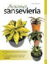 Pesona sansevieria