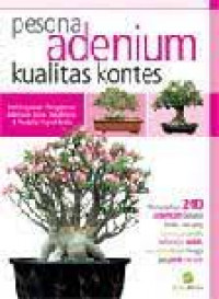 Pesona adenium kualitas kontes