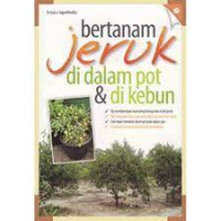 Bertanam jeruk di dalam pot dan di kebun